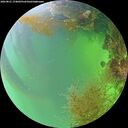 ./images/calvert/underwater/20260821/underwater20260821_174002M.jpg