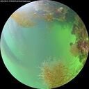 ./images/calvert/underwater/20260821/underwater20260821_175002M.jpg