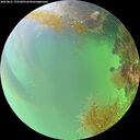 ./images/calvert/underwater/20260821/underwater20260821_175501M.jpg