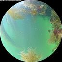 ./images/calvert/underwater/20260821/underwater20260821_181502M.jpg