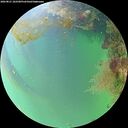 ./images/calvert/underwater/20260821/underwater20260821_182501M.jpg