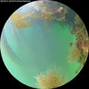 ./images/calvert/underwater/20260821/underwater20260821_183501M.jpg