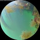 ./images/calvert/underwater/20260821/underwater20260821_184001M.jpg