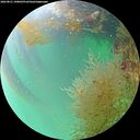 ./images/calvert/underwater/20260821/underwater20260821_190002M.jpg
