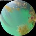 ./images/calvert/underwater/20260821/underwater20260821_190501M.jpg