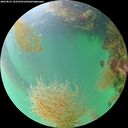 ./images/calvert/underwater/20260821/underwater20260821_192501M.jpg