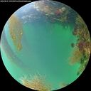 ./images/calvert/underwater/20260821/underwater20260821_193501M.jpg