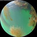 ./images/calvert/underwater/20260821/underwater20260821_194501M.jpg