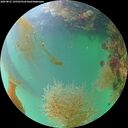 ./images/calvert/underwater/20260821/underwater20260821_195501M.jpg