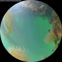 ./images/calvert/underwater/20260821/underwater20260821_200501M.jpg