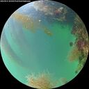 ./images/calvert/underwater/20260821/underwater20260821_201001M.jpg