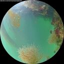 ./images/calvert/underwater/20260821/underwater20260821_201501M.jpg