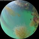 ./images/calvert/underwater/20260821/underwater20260821_202002M.jpg