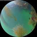 ./images/calvert/underwater/20260821/underwater20260821_202501M.jpg