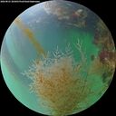 ./images/calvert/underwater/20260821/underwater20260821_203001M.jpg