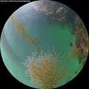 ./images/calvert/underwater/20260821/underwater20260821_203501M.jpg