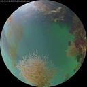 ./images/calvert/underwater/20260821/underwater20260821_204001M.jpg