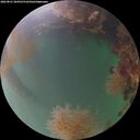 ./images/calvert/underwater/20260821/underwater20260821_204501M.jpg