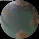 ./images/calvert/underwater/20260821/underwater20260821_205501M.jpg