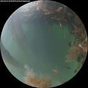 ./images/calvert/underwater/20260822/underwater20260822_062001M.jpg