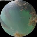 ./images/calvert/underwater/20260822/underwater20260822_063001M.jpg