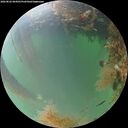./images/calvert/underwater/20260822/underwater20260822_064501M.jpg