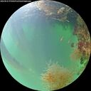 ./images/calvert/underwater/20260822/underwater20260822_073002M.jpg
