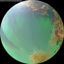 ./images/calvert/underwater/20260822/underwater20260822_073501M.jpg