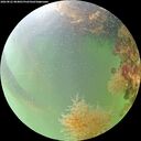./images/calvert/underwater/20260822/underwater20260822_084001M.jpg