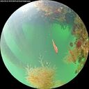 ./images/calvert/underwater/20260822/underwater20260822_095501M.jpg
