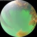 ./images/calvert/underwater/20260822/underwater20260822_102501M.jpg