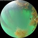 ./images/calvert/underwater/20260822/underwater20260822_110001M.jpg
