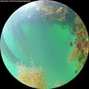 ./images/calvert/underwater/20260822/underwater20260822_115501M.jpg