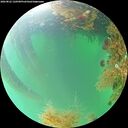 ./images/calvert/underwater/20260822/underwater20260822_120501M.jpg
