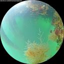 ./images/calvert/underwater/20260822/underwater20260822_122001M.jpg