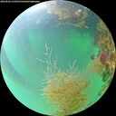 ./images/calvert/underwater/20260822/underwater20260822_122502M.jpg
