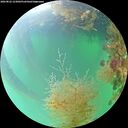 ./images/calvert/underwater/20260822/underwater20260822_123001M.jpg