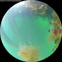 ./images/calvert/underwater/20260822/underwater20260822_123502M.jpg
