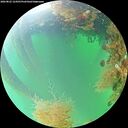 ./images/calvert/underwater/20260822/underwater20260822_124501M.jpg