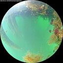 ./images/calvert/underwater/20260822/underwater20260822_130501M.jpg