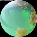 ./images/calvert/underwater/20260822/underwater20260822_131001M.jpg