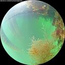 ./images/calvert/underwater/20260822/underwater20260822_133001M.jpg