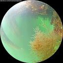 ./images/calvert/underwater/20260822/underwater20260822_133501M.jpg