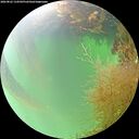 ./images/calvert/underwater/20260822/underwater20260822_134502M.jpg