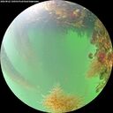 ./images/calvert/underwater/20260822/underwater20260822_140501M.jpg