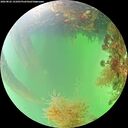./images/calvert/underwater/20260822/underwater20260822_141001M.jpg