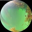 ./images/calvert/underwater/20260822/underwater20260822_141501M.jpg