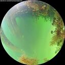 ./images/calvert/underwater/20260822/underwater20260822_142501M.jpg