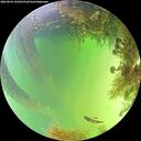 ./images/calvert/underwater/20260822/underwater20260822_143001M.jpg