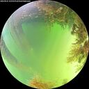 ./images/calvert/underwater/20260822/underwater20260822_143501M.jpg